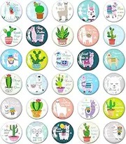 MORCART 30PCS Fridge Magnets - Inspirational Alpaca and Cactus Refrigerator Magnets - Motivational Llama Stickers for Home Decor