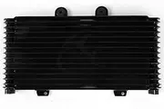 Rynplex Motorcycle Replacement Oil Cooler Radiator GSF1200 GSF 1200 2001-2005 2002 2003 2004 Motorcycle Engine Radiator