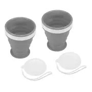 2pcs Collapsible Water Bottle, 200mL Travel Folding Cup for Camping, Gray