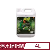 在飛比找PChome24h購物優惠-ISTA 優質淨水硝化菌 4L