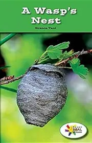 A Wasp's Nest