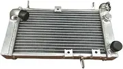 Compatible with 1999-2002 Suzuki SV650 SV650S SV 650 S Aluminum Radiator Cooler Cooling Coolant 1999 2000 2001 2002