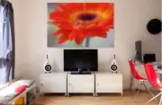 gerbera-flower-plant-garden-WALL ARTS high quality Canvas home decor