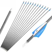 6/12pcs 32"Archery Pure Carbon Arrow Recurve Compound Bow Hunting TargetShooting