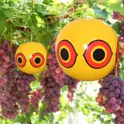 Anti Bird Inflatable Repeller Scare Eye Balloons Visual Deterrent Farm Protec_ro