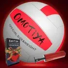 Glow in The Dark Volleyball, LED Light Up Outdoor Size 5, White