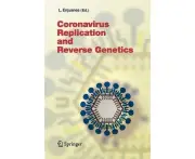 Replication and Reverse Genetics