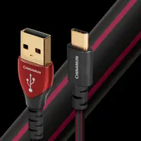 在飛比找PChome24h購物優惠-美國 Audioquest Cinnamon USB A -