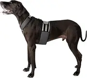 CoolerDog Dog Cooling Vest and Cooling Collar - Ice Vest for Dogs (XL)