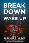 Break Down to Wake Up: Journey Beyond the Now by Jocelyn Bellows Paperback Book