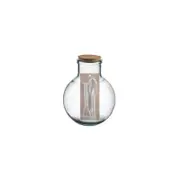Ladelle Eco Recycled 31cm Glass Aran Terrarium - Clear