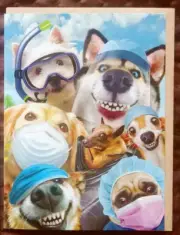"Lockdown Dogs", (1) Leanin Tree Friendship Greeting Card, New With (1) Envelope