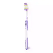 SM Colgate Toothbrush Plus Adult Medium