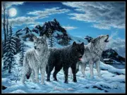 Night Howl - Chart Counted Cross Stitch Patterns Needlework DIY DMC Color 14 ct