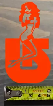Burton Snowboards Sticker Decal Lady Bindings Boots Jacket Custom Cartel Orange