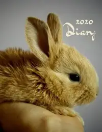 在飛比找博客來優惠-2020 Diary: Rabbit Lovers Week