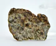 1.17g Erg Chech 002 Ungrouped Achondrite Meteorite Slice - TOP METEORITE