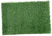 Artificial Grass Door Mat Non Slip Entryway Rug for Use for Front Porch Garden Dog Training Play Areas Easy Maintenance