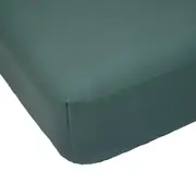 250 Thread Count Cotton Rich Fitted Sheet - Double Bed, Teal