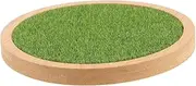 Garneck Display Stand Grass Display Stand for Statuettes Stable Organizer Shelf Practical for Home