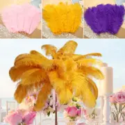 10X Ostrich Feather MultiColor Ostrich Feather Plume Decorative Feather Craft .t