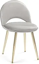 Vanity Chair with Adjustable Backrest Vanity Stool with Back MultifunctionArmless Chair for Dressing Home Office Kitchen Dinning Room and Living Room (Velvet Grey)