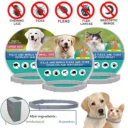 Cat Dog Flea Tick Collar 38/70cm Citronella Breakaway Waterproof 8 Months