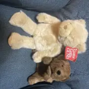 Very Rare VINTAGE GUND lot Name : Stuffie BEAR - #2344 NICE ALL TAGS Groundhog ￼