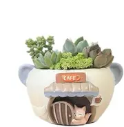 Succulent Plant Pots | Animal Pet Cartoon | Succulents, Cactus, Mini Plants | Stationery Organiser (Fox Cafe Deisgn)