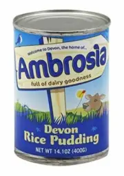 Ambrosia Devon Rice Pudding, 14.1-Ounce Can (Pack of 4)