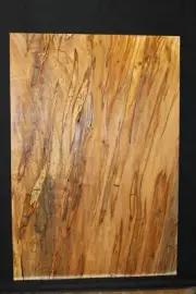 Spalted ambrosia maple one piece guitar top.