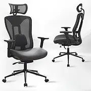 LuxErgo Ergonomic Office Chair Mesh Office Desk Chair Executive Task Chair with Lumbar Support, SGS Certified Gas Cylinder, 300 LBS Capacity, Gaming Chair for Big and Tall People, Slide Seat, Black