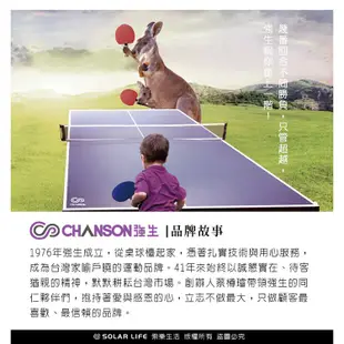 強生CHANSON 標準規格桌球桌CS-6300 乒乓球台18mm板厚桌球檯