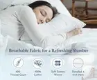 100% Cotton Pillowcases, Pillow Case Set of 2, Fits Standard & Queen Pillows, Lu