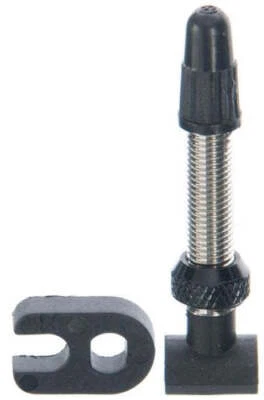 DT Swiss Tubeless Presta Valve Stem 32mm w Removable Core