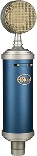 Blue Microphones Bluebird SL Large-Diaphragm Condenser Microphone