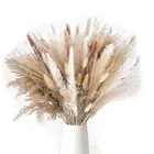 85PcsPampas Grass Decorative Vase Home Arrangements, Dried Natural Pampas1251