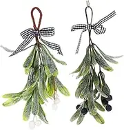Alipis 2Pcs Mistletoe Teardrop Swag Lifelike Artificial Christmas Decoration for Door Window and Fireplace Xmas Hanging Mistletoe Branches Blueberry and Colors
