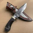 Vg10 Hunting Knife Fixed Blade Damascus Steel Handcrafted Steel Tiger Head Ebony