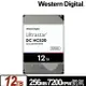 【含稅公司貨】WD威騰Ultrastar HC520 12TB 企業級硬碟 彩盒裝 HUH721212ALE604