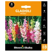 Bloomin' Bulbs Gladioli Mixed Bulbs - 20 Pack