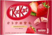 Nestle Japan Kitkat Chocolate Strawberry Flavor 12Pcs Minibar Made in Japan