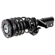 Front Left Strut Spring Assembly For Buick Skylark Chevy Beretta Complete