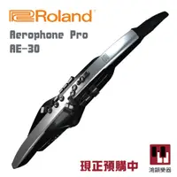 在飛比找蝦皮購物優惠-《現貨》Roland AE-30 數位吹管《鴻韻樂器》電吹管