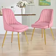 ALFORDSON Velvet Kitchen Dining Chairs Set of 2, Pink Color Desk Chair with Adjustable Floor Protector, Metal Frame Reading Seating for Cafe Home Coffee Table, 150kg Capacity, Lana Series
