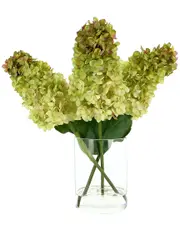 Creative Displays Green Cone Shaped Hydrangea Display