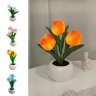 LED LED Tulip Night Light Bedside Flower Lamp Desktop Decoration