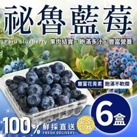 在飛比找台北濱江優惠-【台北濱江】秘魯藍莓125g*6小盒