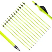 12pcs 31" Carbon Arrows 2" Vane Spine 500 Compound Recurve Bow Exquisite