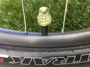 2 Stop & Grind Greg....Walking Dead...Zombie.. Valve Caps..MTB..Kids...Bike